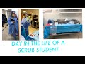 DAY IN MY LIFE AS A SCRUB STUDENT | SURGICAL TECH | CLINICAL ROTATIONS | HOW TO GOWN and GLOVE
