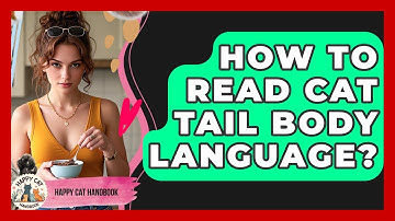 How To Read Cat Tail Body Language? - Happy Cat Handbook