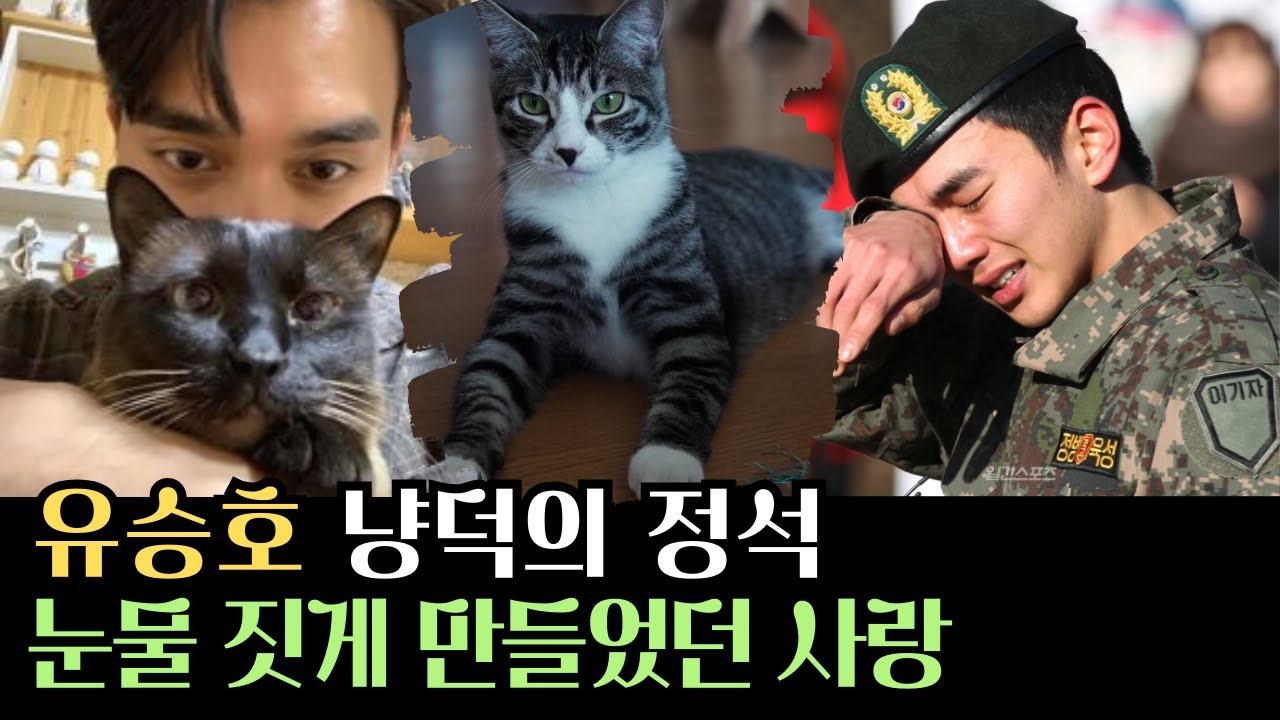 냥덕의 정석, 배우 유승호와 심바