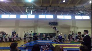 Mason  - Double Mini - Level 6 - Pass #1 - 2018 State Championships