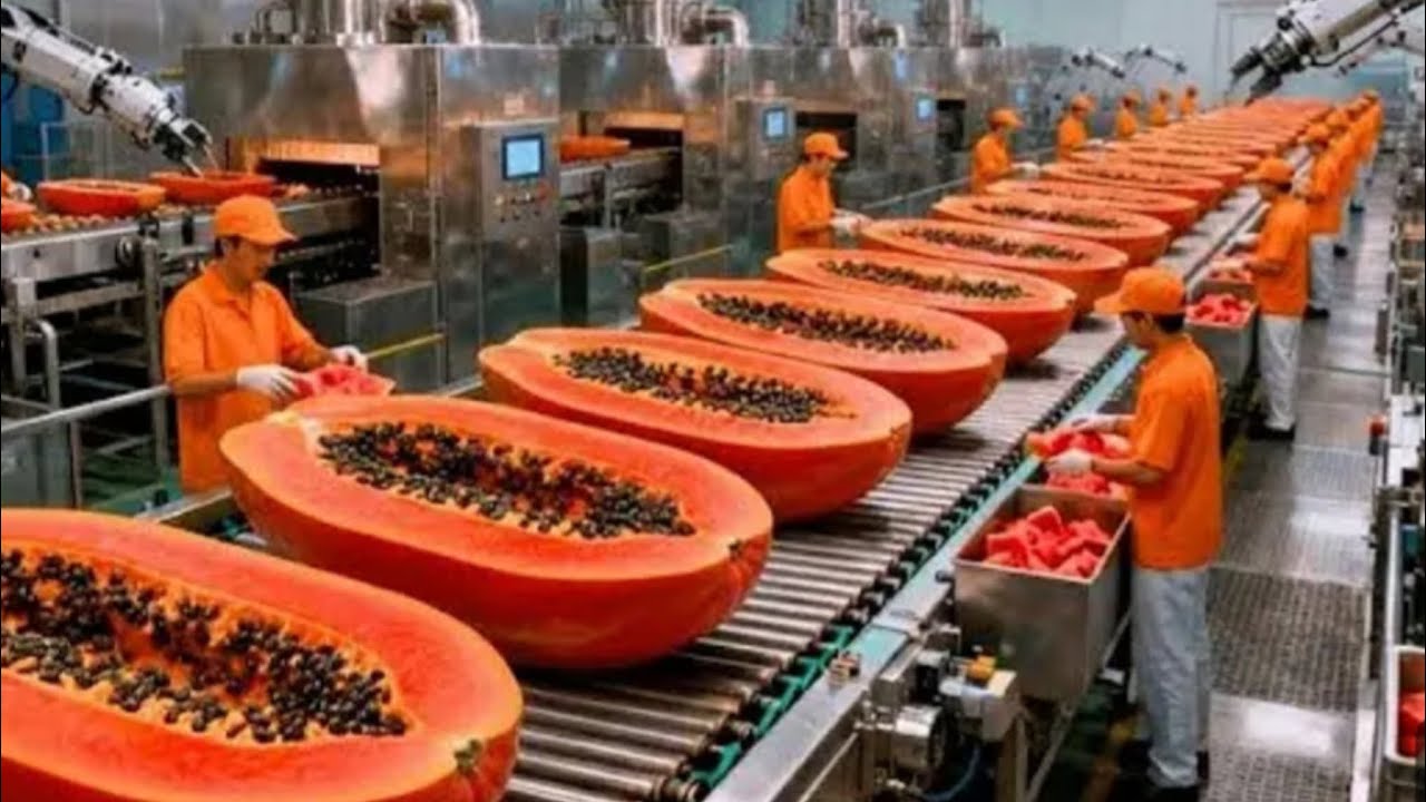 Inside a Modern Papaya Factory: From Fresh Papayas to Smooth Orange Purée (Full Process)