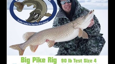 Easy Catch Tackle Companies "Horizontal Quick Strike Rigs"