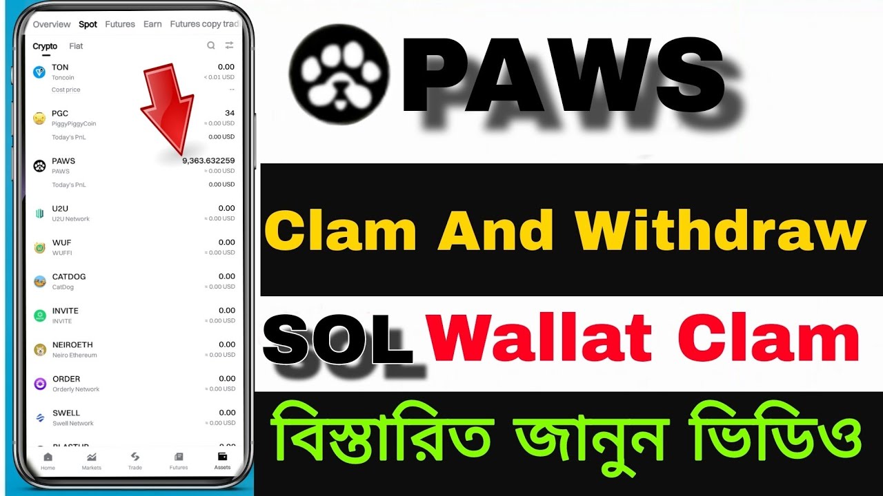 PAWS Listing New Update PAWS Token Price | PAWS Hold or Sell Paws Coin In Bybit Exchange Zero Why ?