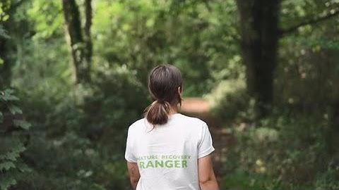 Nature Recovery Rangers - NHS Forest