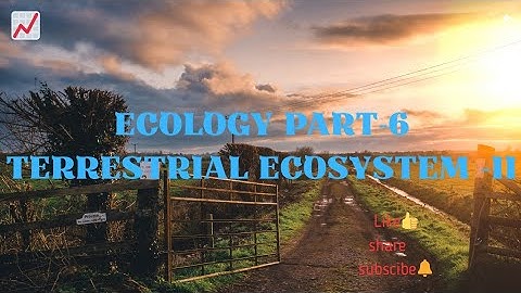 Terrestrial ecosystem part-II through #ppt for #BSc #MSc and #other competitive exams