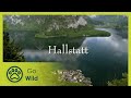 Hallstatt - Living Between Rock and Lake - The Secrets of Nature