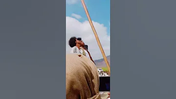 شرق السودان البجا 