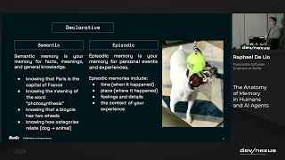 Devnexus 2026   The Anatomy of Memory in Humans and AI Agents   Raphael De Lio