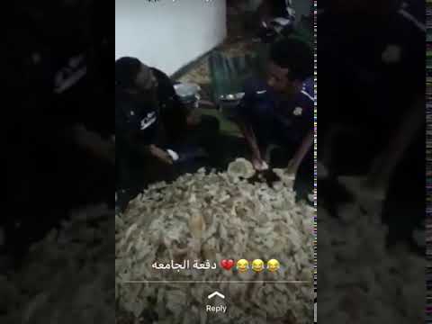 احلي زول