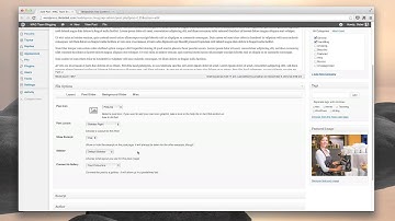 Set Up the Posts | Flix Premium Wordpress Theme