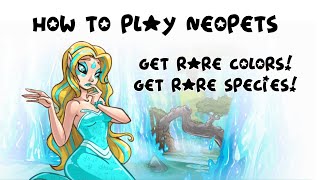 Painting and Transforming Pets: How to Play Neopets