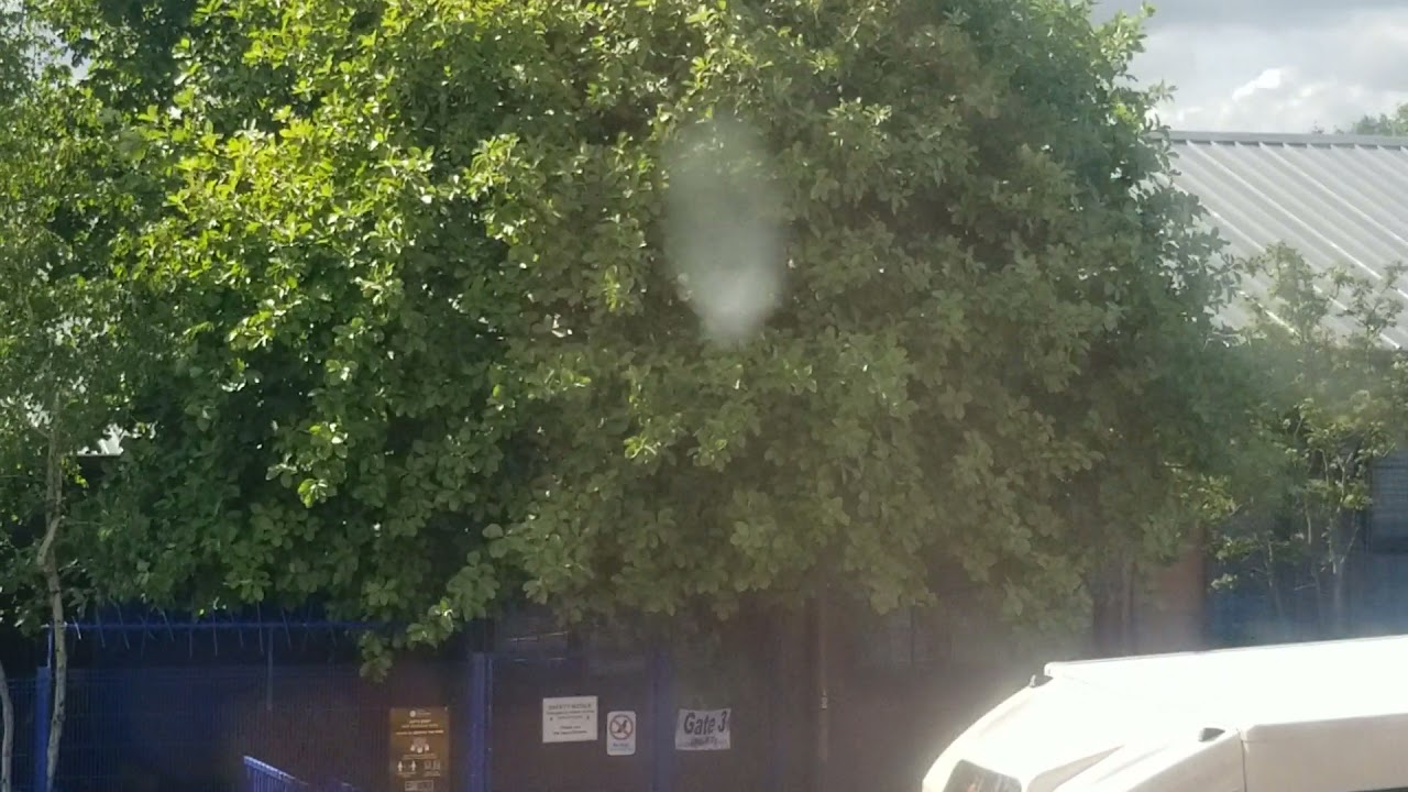 ea education authority bus mercedes Benz sprinter