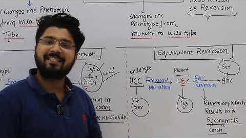 Forward vs Reverse mutation #NEET #CSIR #DBT #MOLECULARBIOLOGY