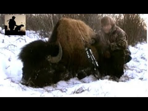 Охота в новом свете все