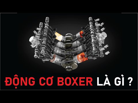 Video: Boxer người máy là gì?