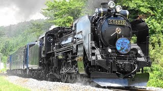 釜石線 C58-239 SL銀河 真夏の蒸気 Steam Locomotive