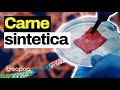 Come si produce la carne sintetica in laboratorio: che sapore ha, quanto costa e i vantaggi