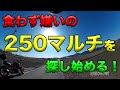 【食わず嫌いの250マルチを探し始める】空波鳥の呟き