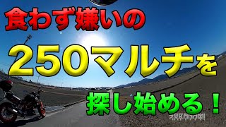 【食わず嫌いの250マルチを探し始める】空波鳥の呟き