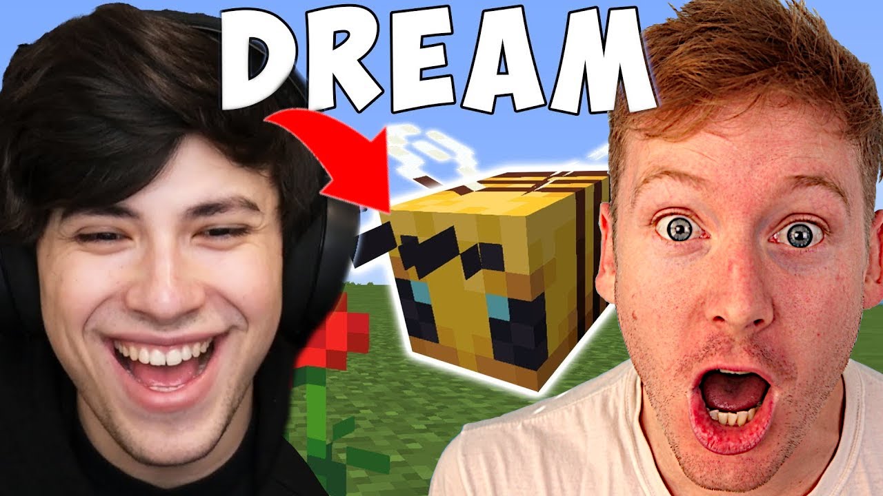 GeorgeNotFound's Friend Is A Bee Reaction