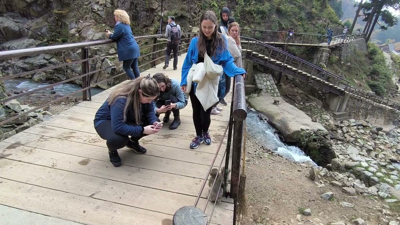 Jugokudani (monkey onsen)