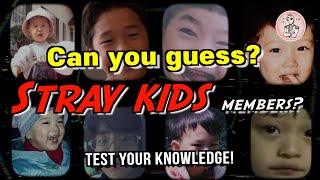 Guess the Stray Kids Members Challenge! Test Your Knowledge Now!