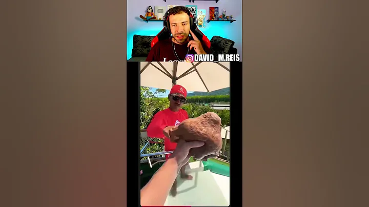 REACT Funny monkey makes a video with a lifeguard🤣 #shorts