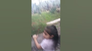 Chimps climbing at Dallas zoo