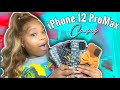 iPhone 12 Pro Max Phone Case Collection