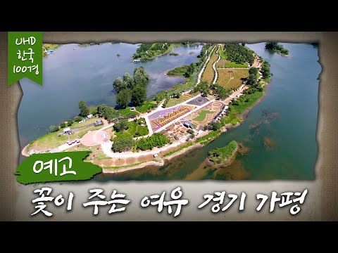 예고) [UHD 한국 100경] 꽃이 주는 여유, 경기 가평 '자라섬'