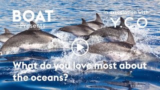 What do you love most about the oceans?