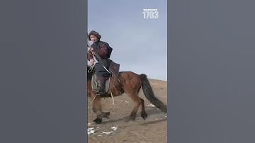 The Mongolian Composite Bow: Ancient Engineering That Conquered Empires