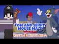 ХИТРОСТЬ ДЛЯ КОТОВ ГЛАВА 3: СПАЛЬНЯ А 🛏 TOM AND JERRY MOUSE MAZE