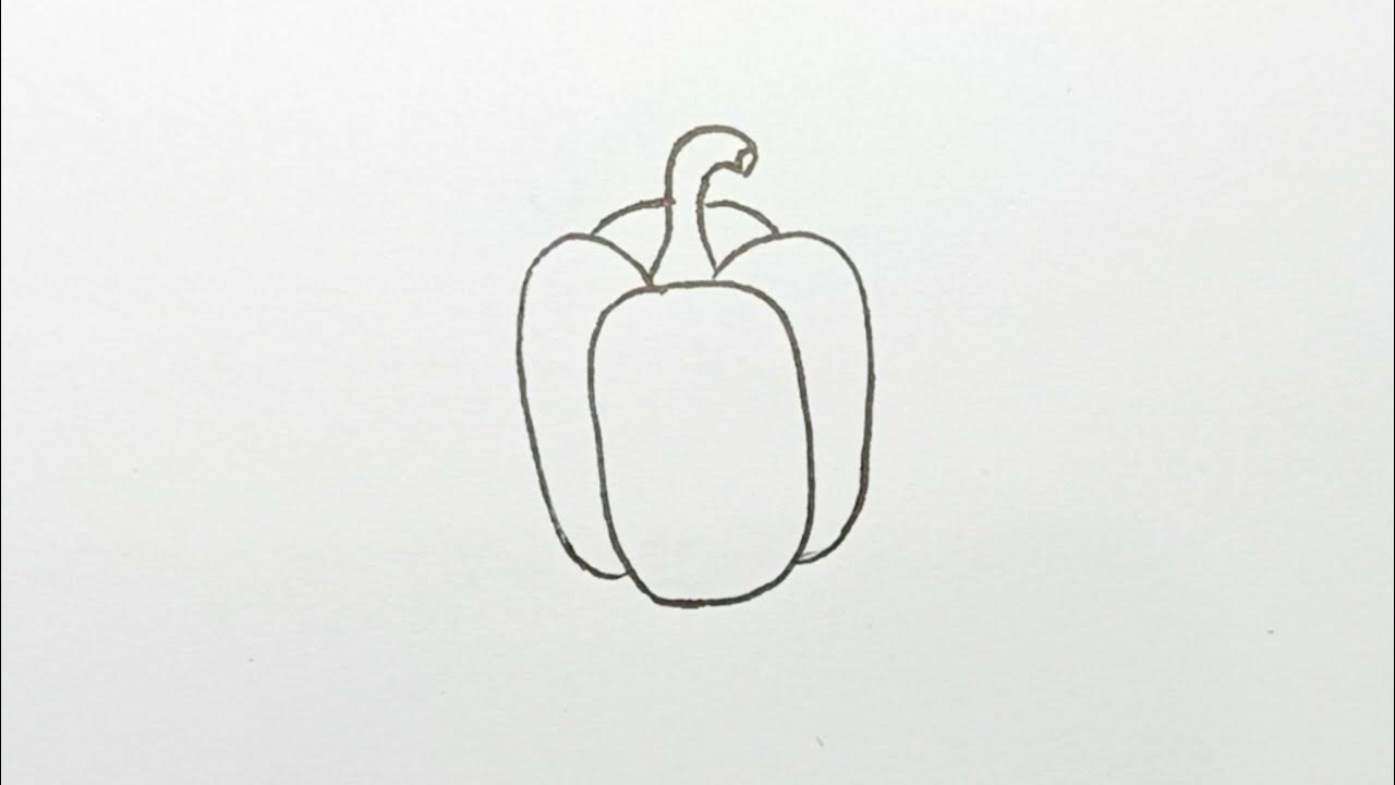 How to draw a pepper easy pepper drawing step by step YouTube