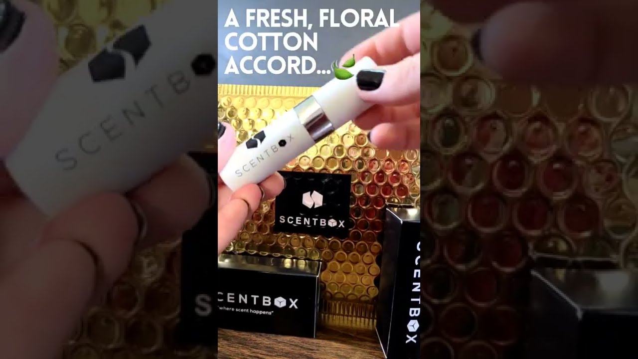 CLEAN WARM COTTON DESIGNER FRAGRANCE REVIEW