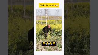 try not to laugh impossible 😂 #shorts #funny #comedy