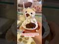 Dubai viral teddy Ice cream must try | #dubaiviraldessert #dubaifoodlovers #ytshortsvideo #valentine