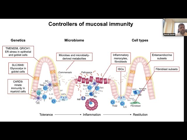 Controllers of mucosal immunity by Dr. Ramnik Xavier - YouTube