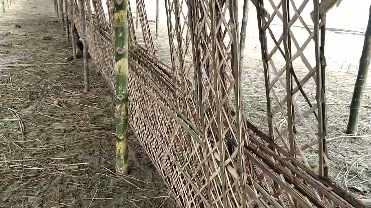 1100 Kundia Maha jagya l World Tour With Vishwas 