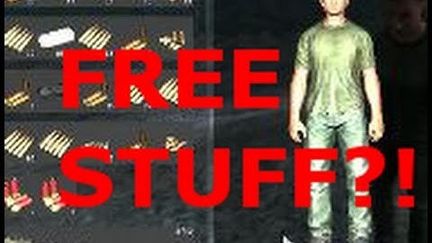 Day Z Standalone - Friendly Hacker