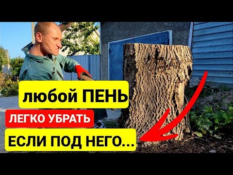 Видео: Как легко и без усилий избавиться от пня любого размера за 9 минут