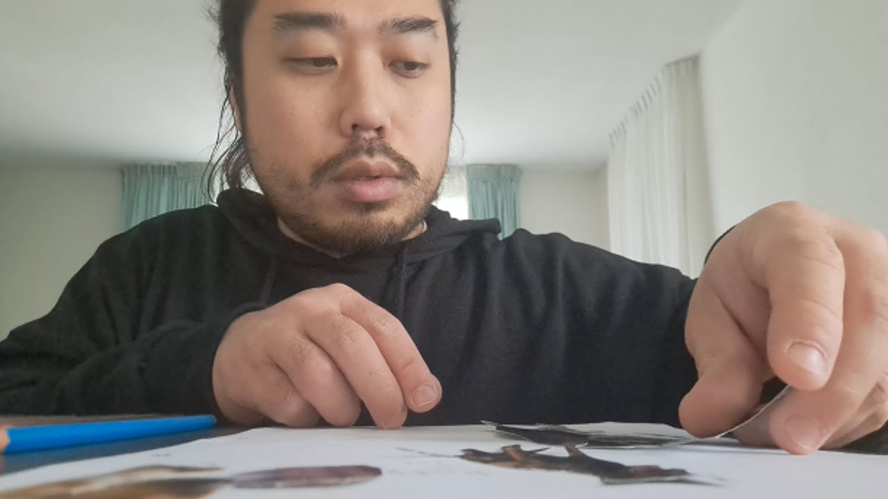 Nederlandse ASMR - Hondencollage Maken & Spreekbeurt Houden