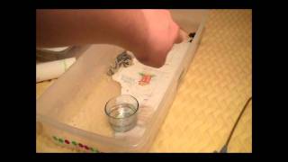 Ball Python Tub Cleaning!!!