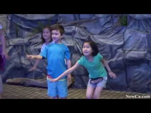 Wild Connection Augmented Reality Exhibit by INDE at the Toronto Zoo