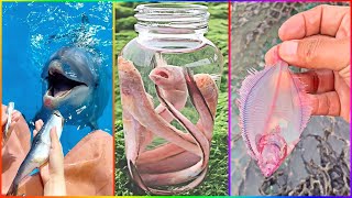 Catching Seafood 🦀🐙 ASMR Relaxing (Catch Shark, Fish, Deep Sea Monster) #867 by Min Leo 4,943 views 5 months ago 9 minutes, 1 second