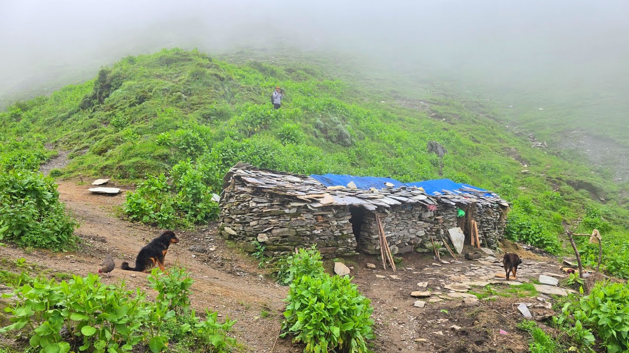 Naturally Most Beautiful Nepali Mountain Village Life | Documentary Video | Living Organic Lifestyle