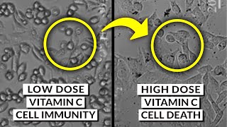 We Finally Know What Happens When You Overdose Antioxidants