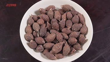 Chữa bệnh bằng hạt đười ươi | Sống Khoẻ Để Yêu Thương