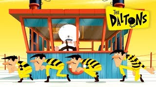 The Daltons 🌵 Deckhand Daltons (S2-EP172) in English HD