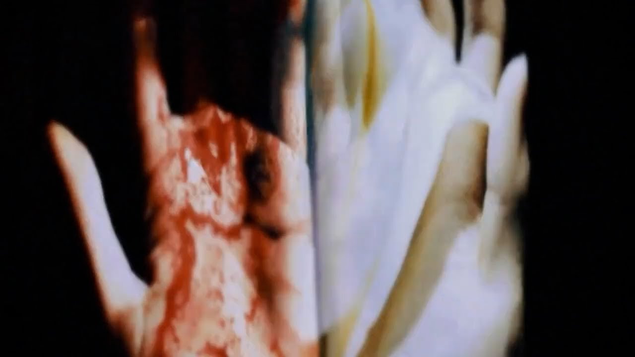 Guarda Jamesstfu, Austin Skinner, & 80cry - GLORY (Official Visualizer) su YouTube Guarda Jamesstfu, Austin Skinner, & 80cry - GLORY (Official Visualizer) su YouTube